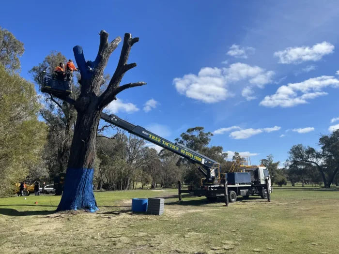 Raising the bar 1 Blue Tree Project Broadford Golf Club 1068w WebRdy