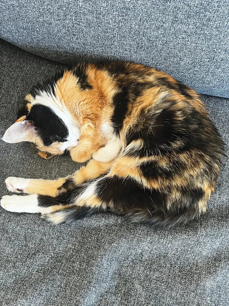 Mow mow_1068w-WebRdy