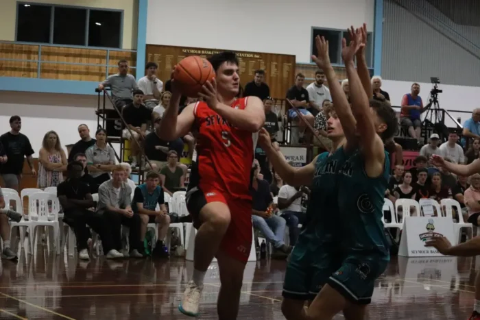 Harry Stones 1068w WebRdy