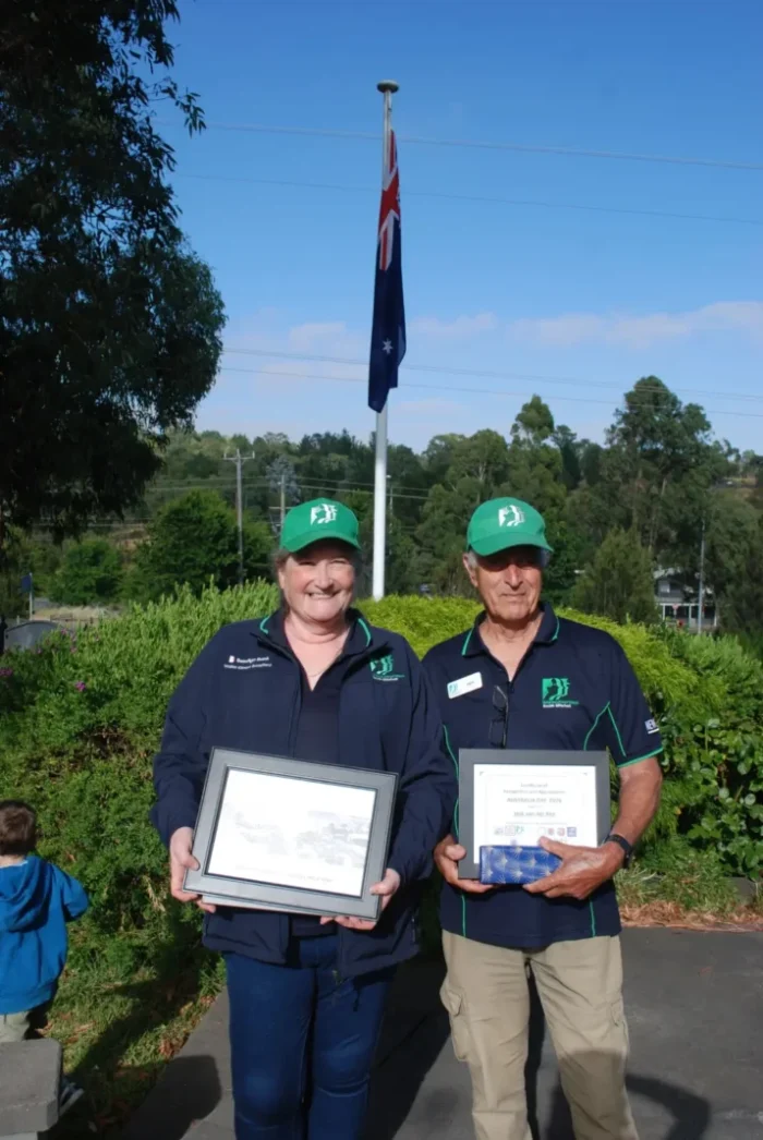 Wandong2 1068w WebRdy