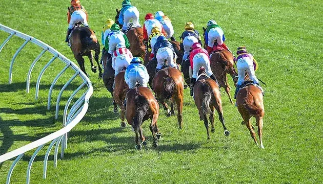 Raing News_1068w-WebRdy