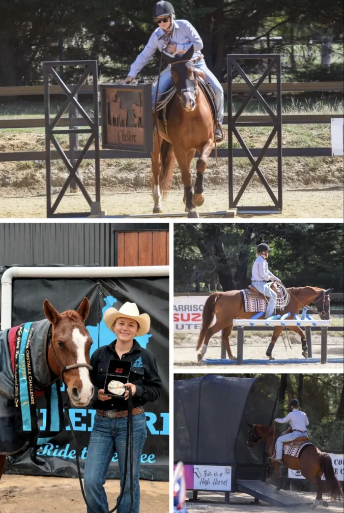 Cello Pet Of The Week 1068w WebRdy