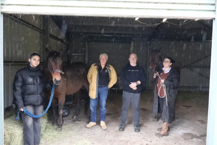New program utilises horses 1 From The Horses Mouth 2 1068w WebRdy