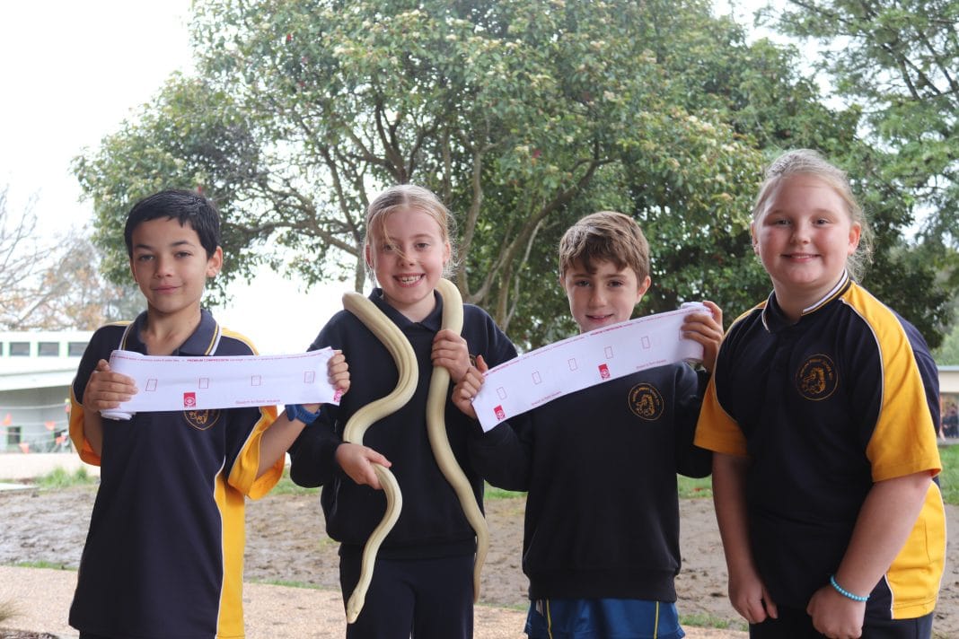 WandongSnakes23