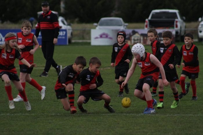 Riddell too strong as Romsey falls by 58 3 IMG 3544