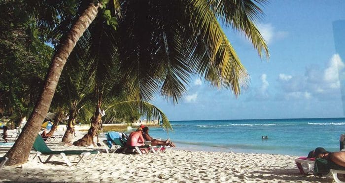 ROVER 2026 09 01 Beach
